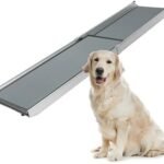 PetSafe Happy Ride Compact Telescoping Dog Ramp – Portable Pet Ramp for Cars, Trucks & SUVs with Adjustable Sizing – Non-Slip Design – Lightweight Pet Mobility Assistance – Extra Long